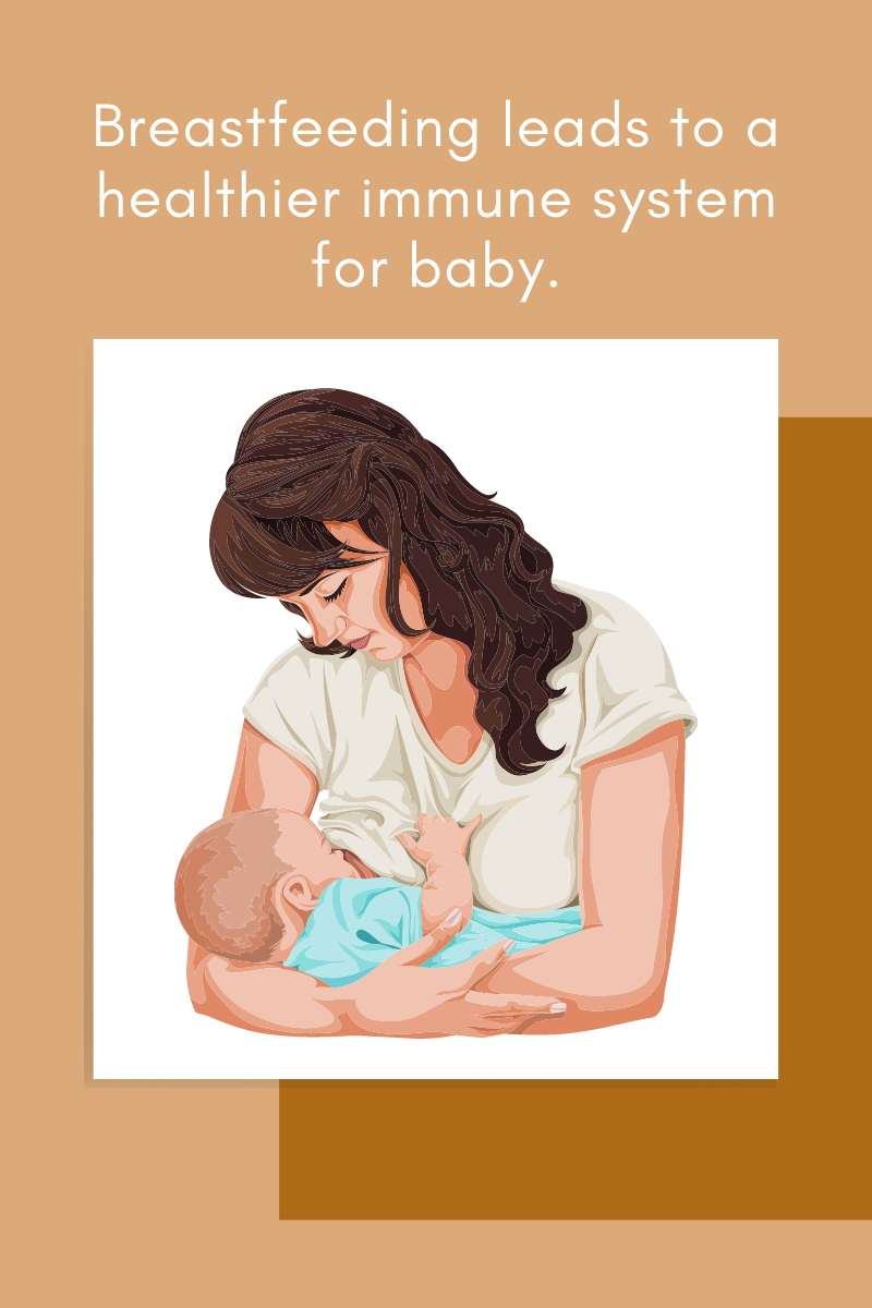 Does Breastfeeding leads to a healthier immune system?