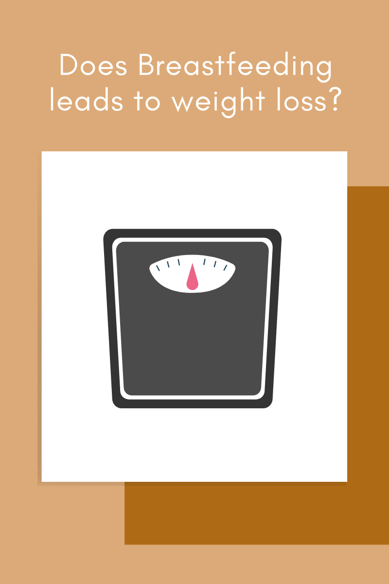 Does Breastfeeding leads to weight loss?