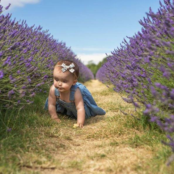 Wren Bows | La Romi | Baby Fashion