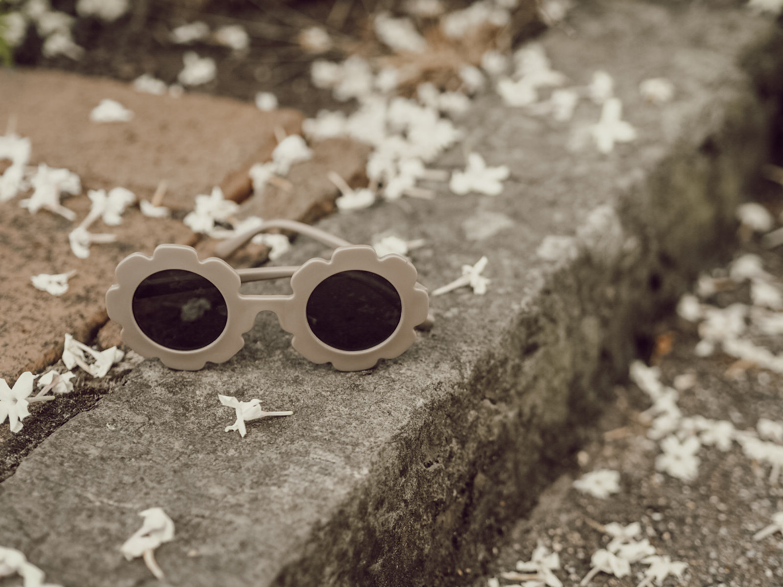 Sunglasses | Daisy Sunglasses | Taupe | La Romi