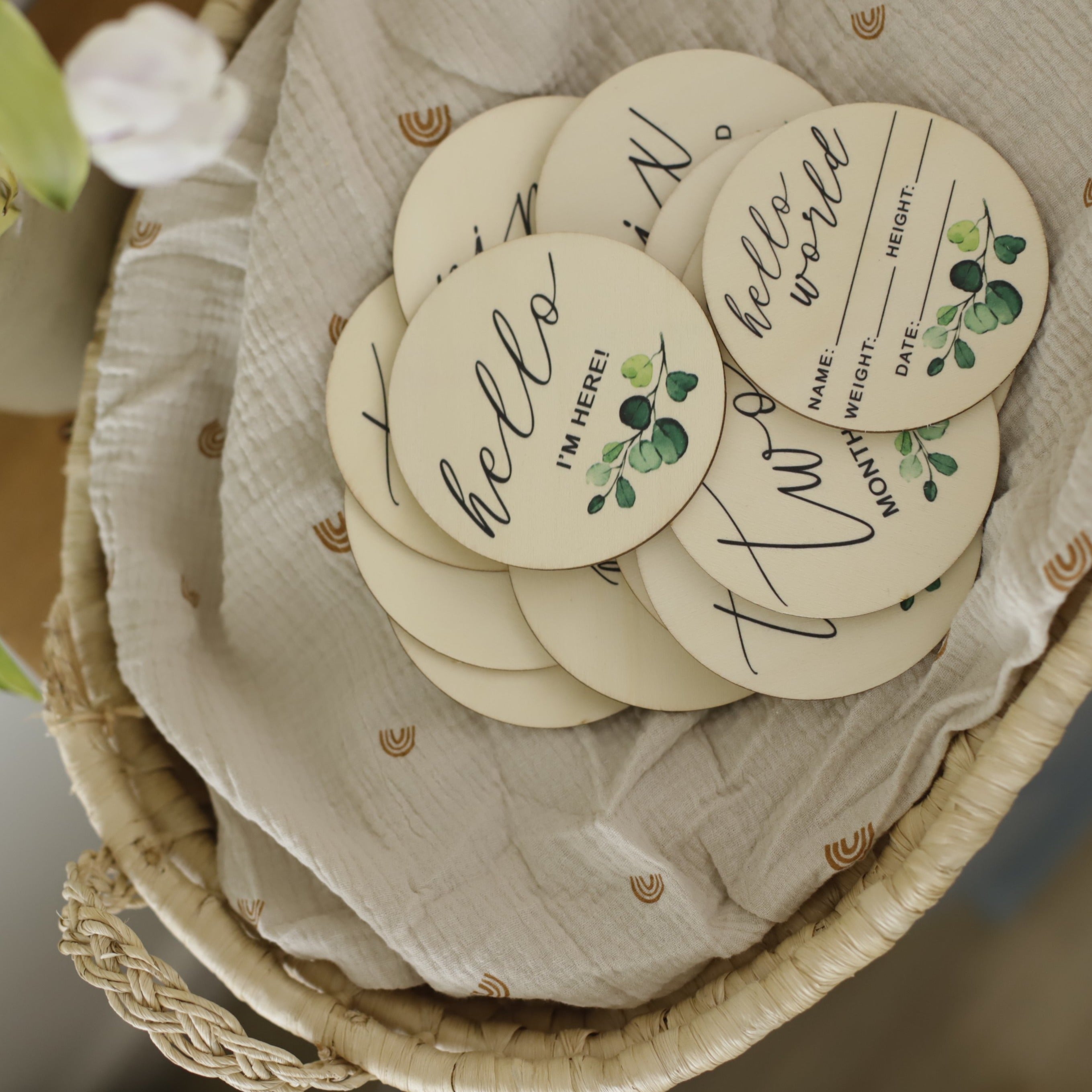 Seasonal & Holiday Decorations | Milestone Discs | Botanical Theme | La Romi
