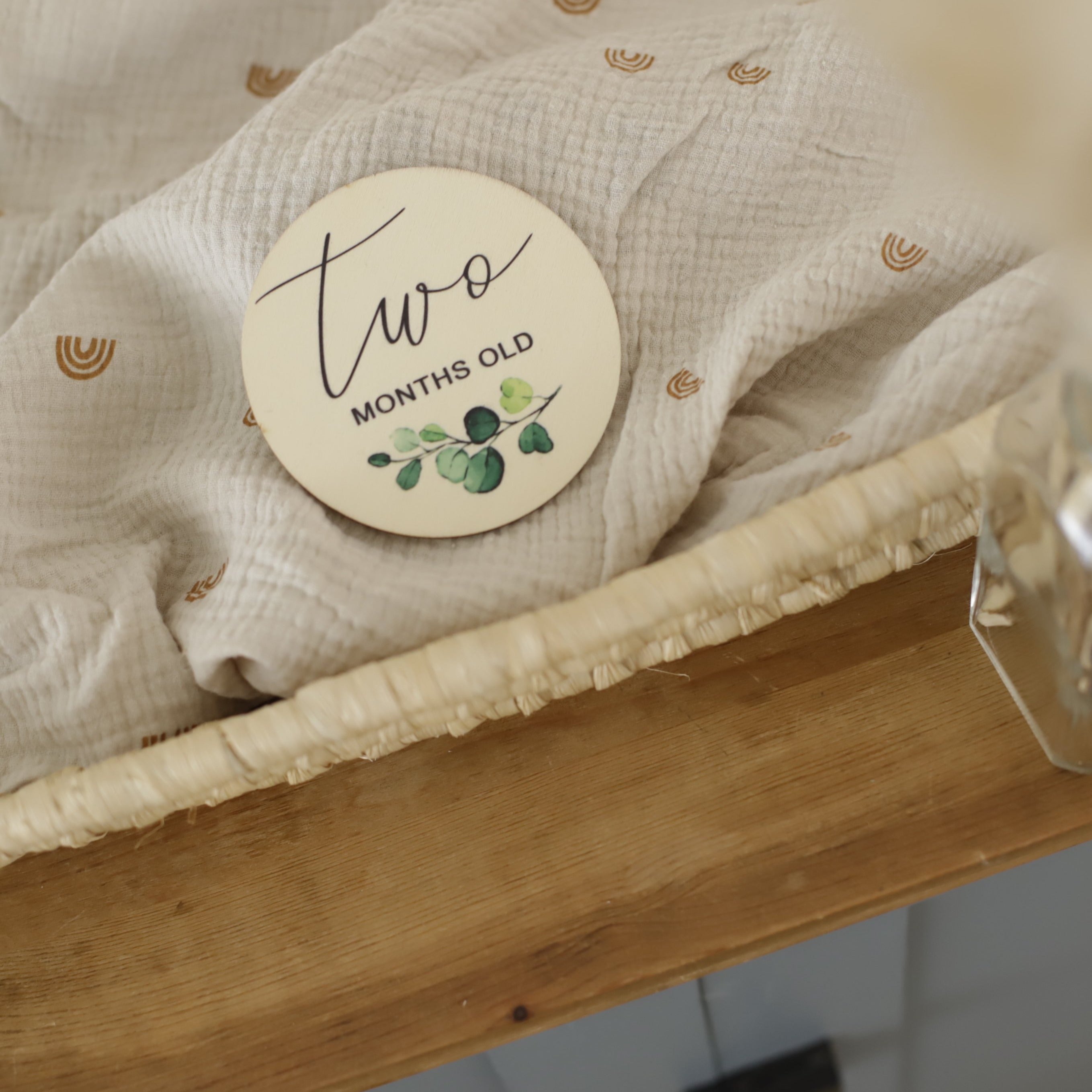 Seasonal & Holiday Decorations | Milestone Discs | Botanical Theme | La Romi