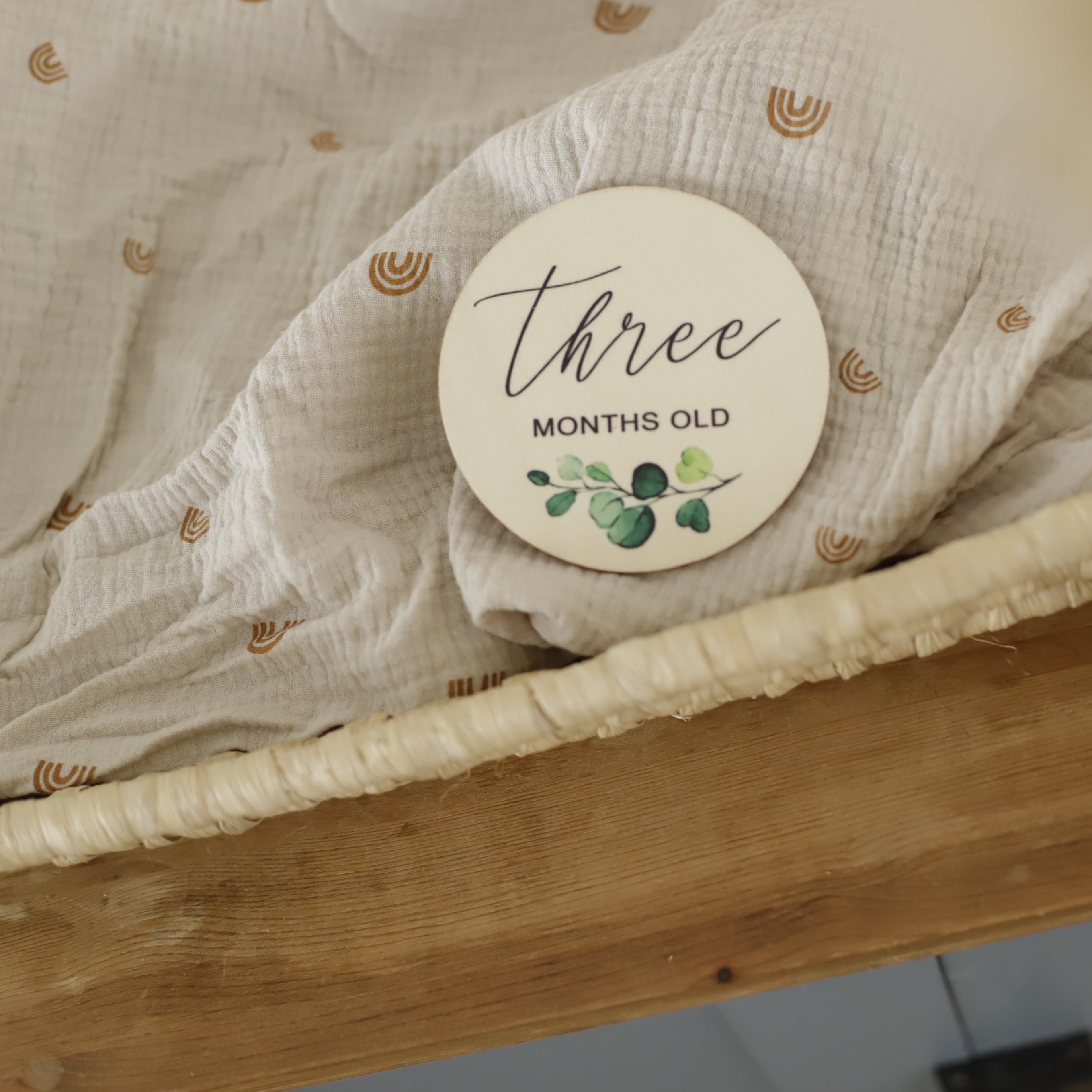 Seasonal & Holiday Decorations | Milestone Discs | Botanical Theme | La Romi