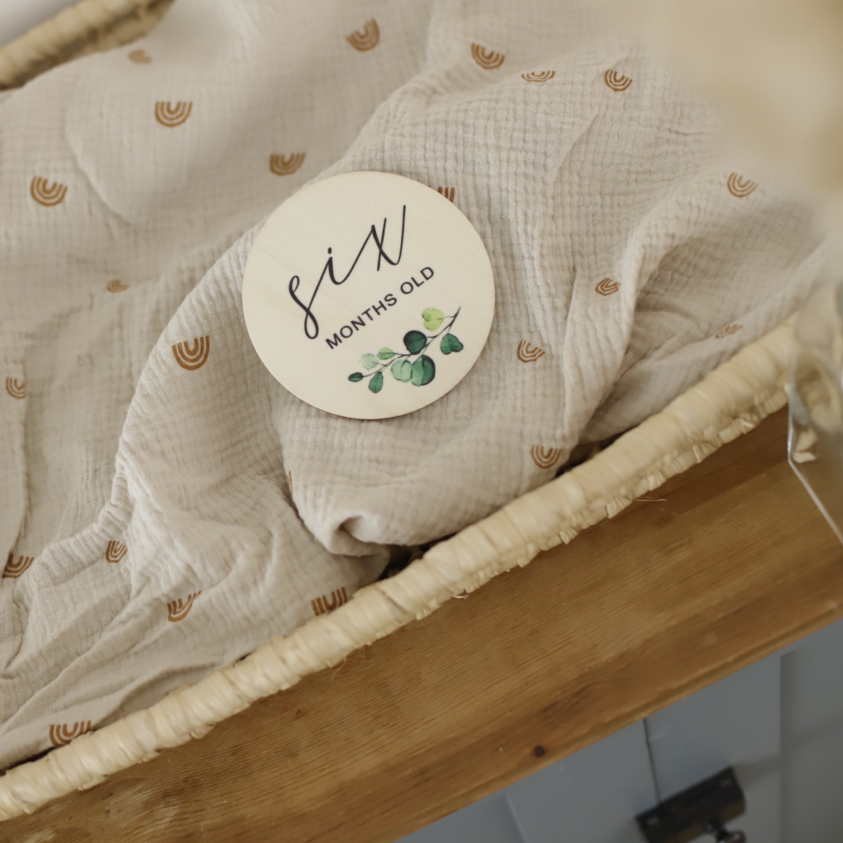 Seasonal & Holiday Decorations | Milestone Discs | Botanical Theme | La Romi