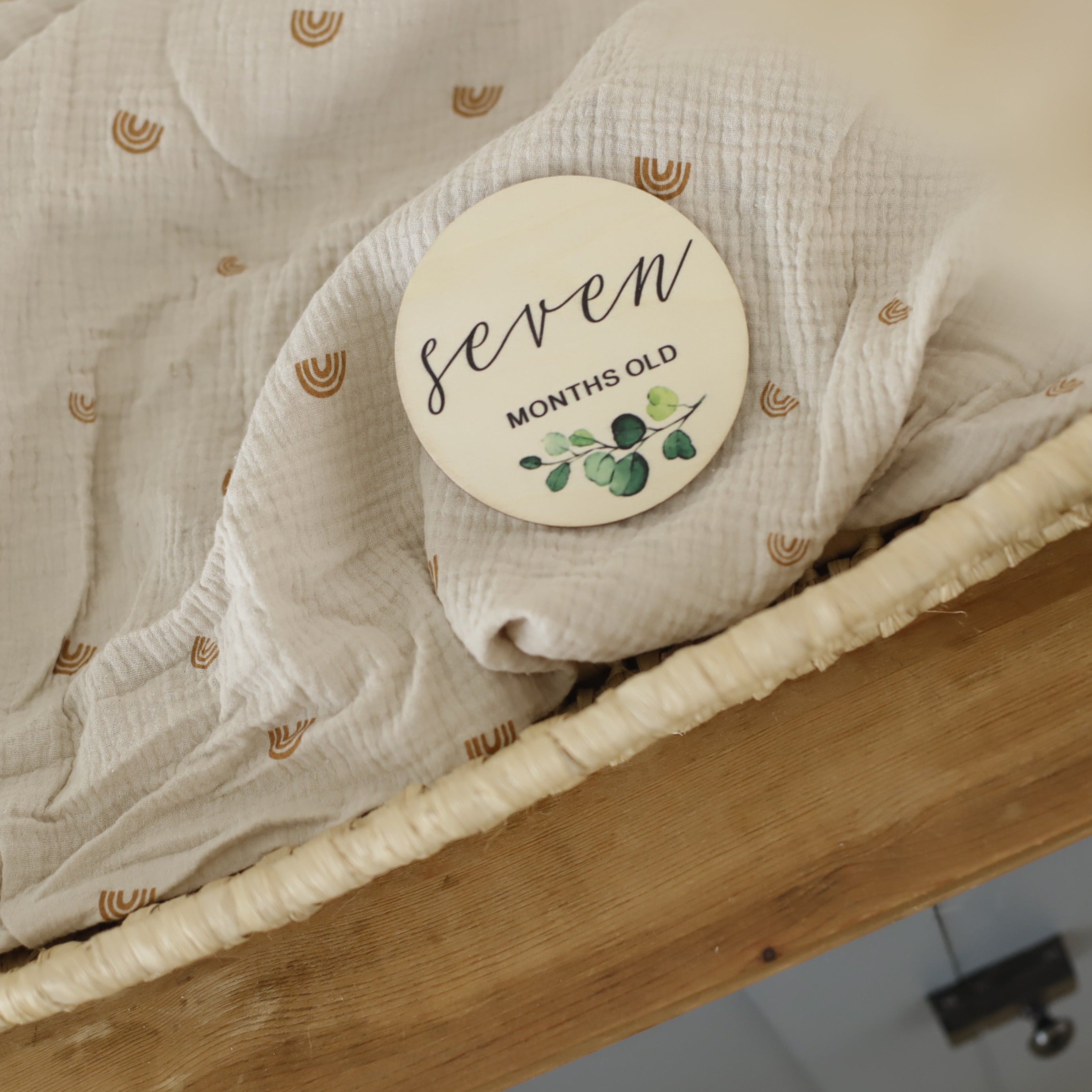 Seasonal & Holiday Decorations | Milestone Discs | Botanical Theme | La Romi