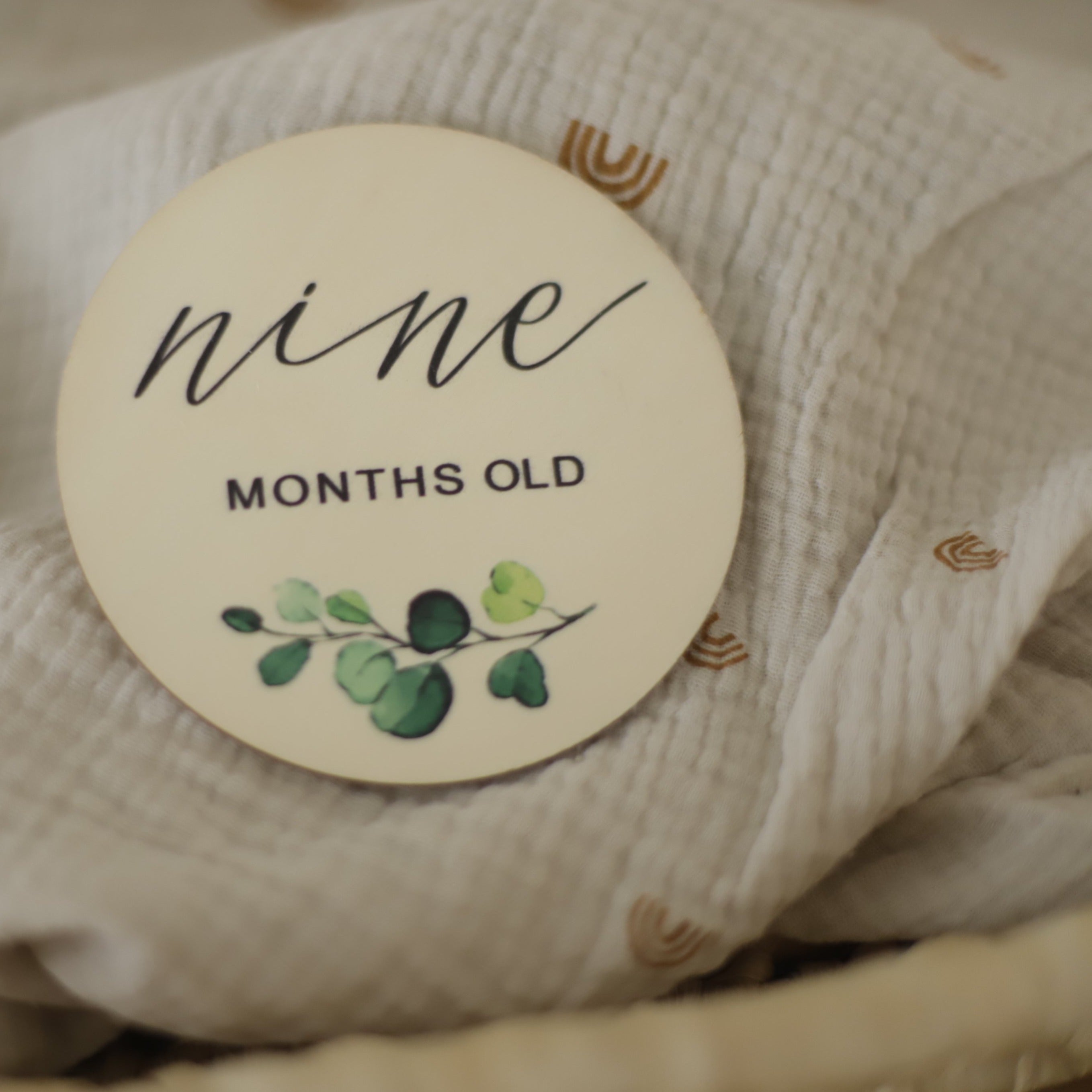 Seasonal & Holiday Decorations | Milestone Discs | Botanical Theme | La Romi