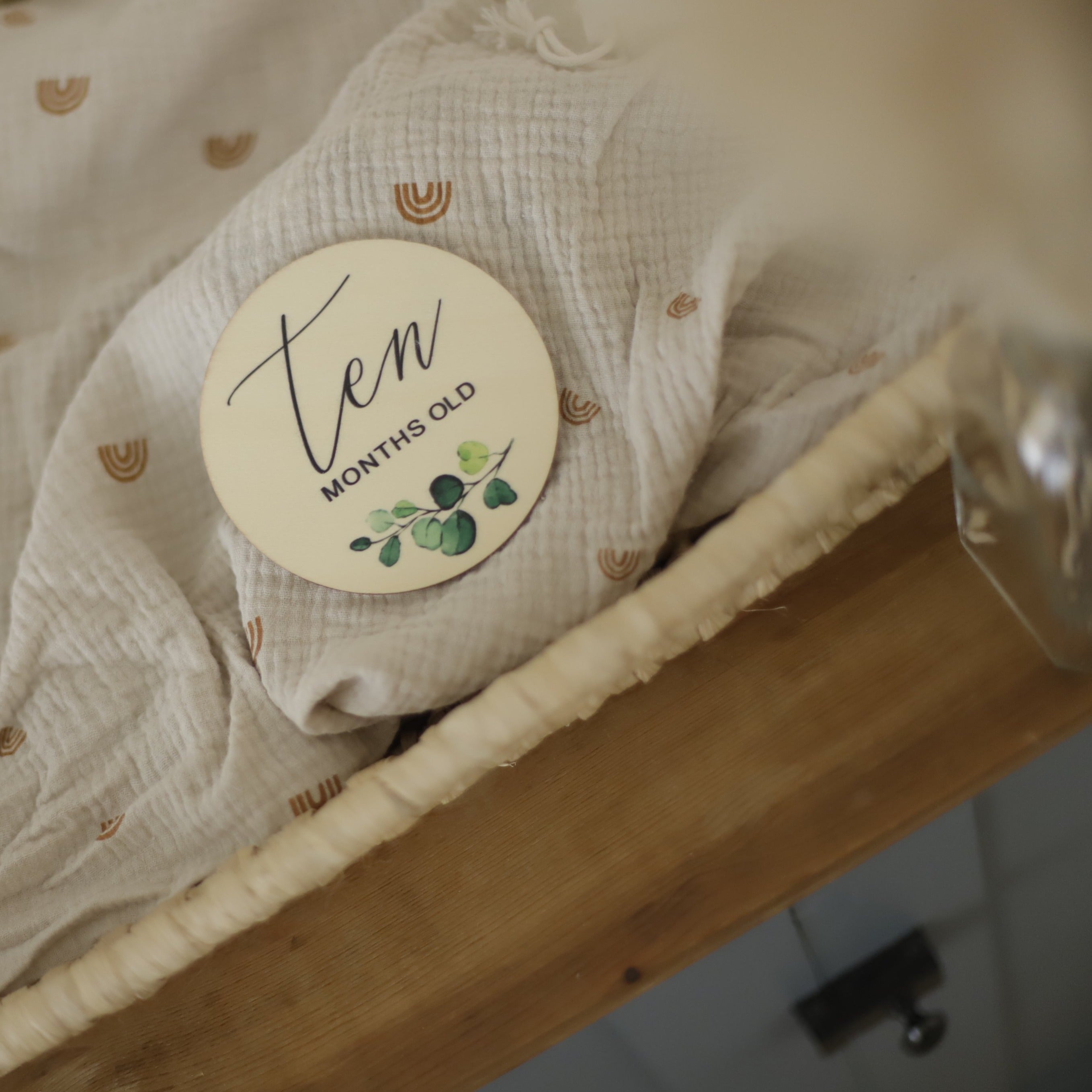 Seasonal & Holiday Decorations | Milestone Discs | Botanical Theme | La Romi