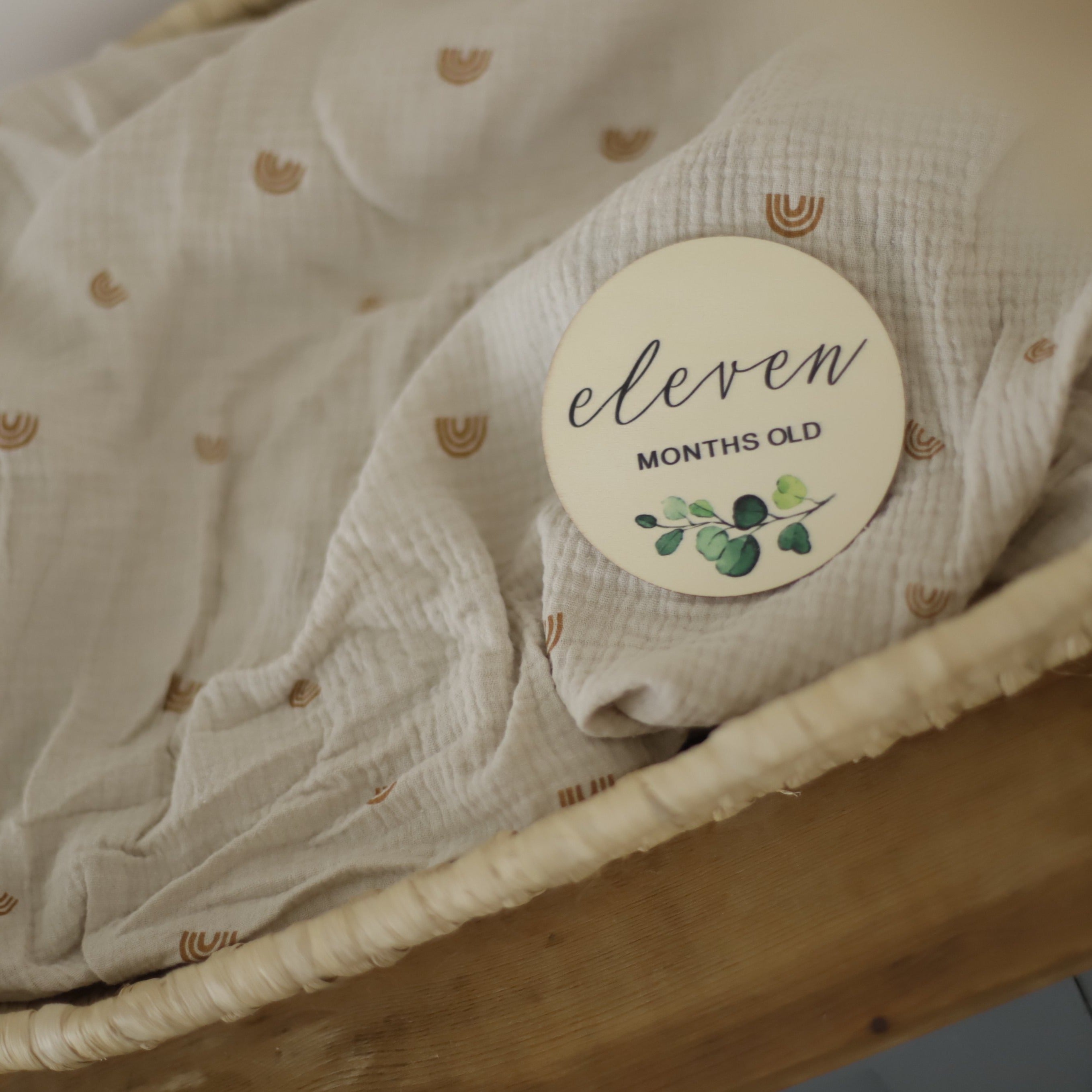 Seasonal & Holiday Decorations | Milestone Discs | Botanical Theme | La Romi