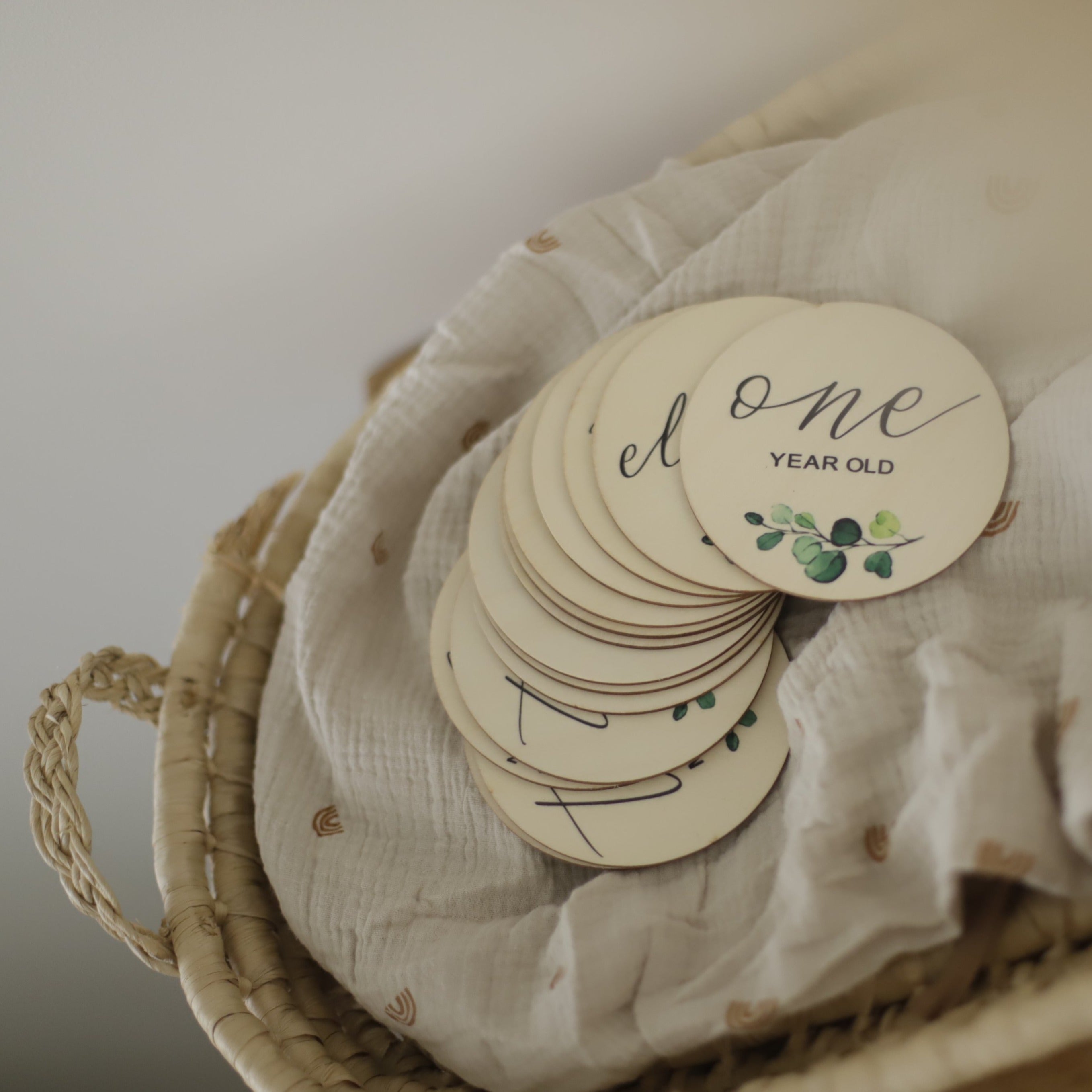 Seasonal & Holiday Decorations | Milestone Discs | Botanical Theme | La Romi
