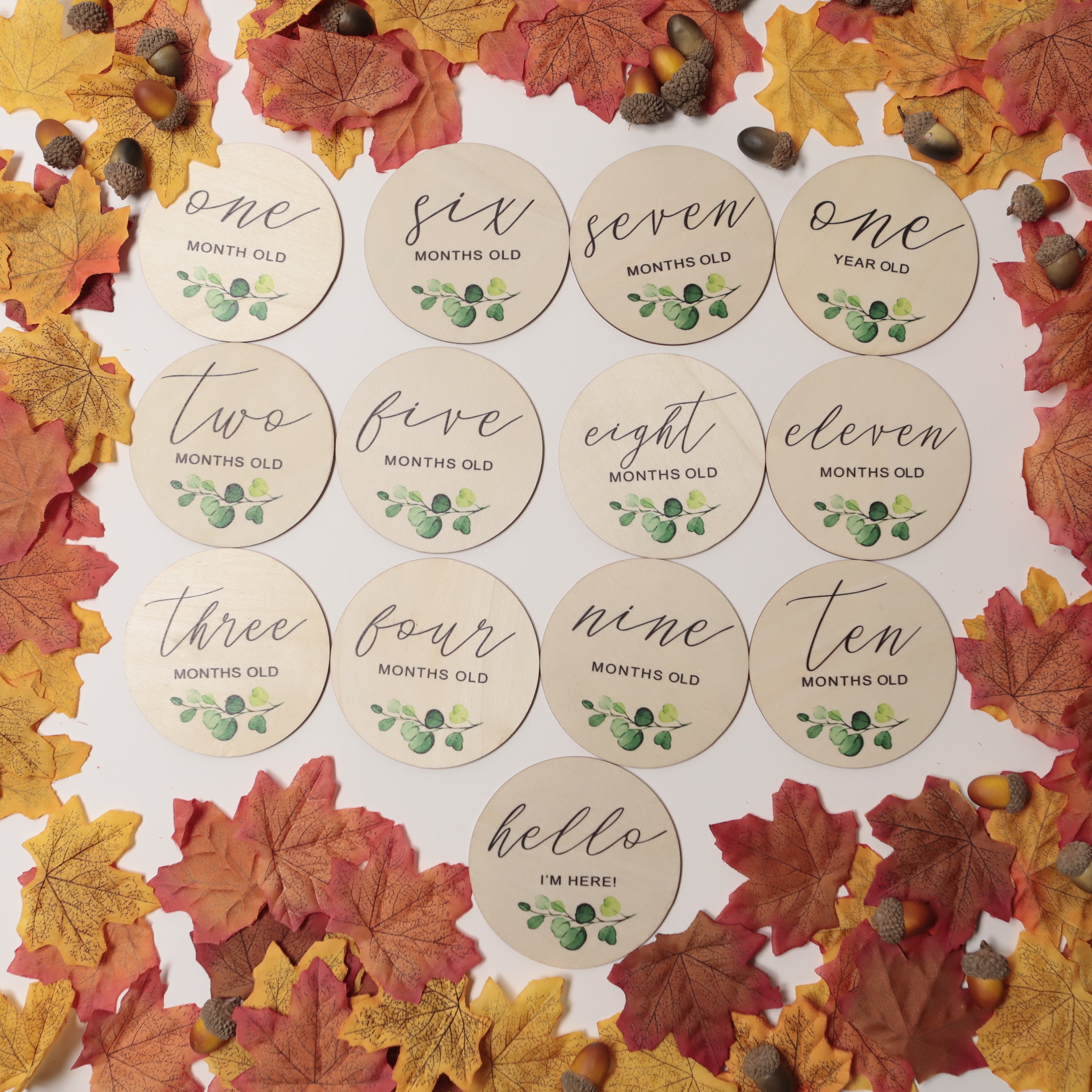 Seasonal & Holiday Decorations | Milestone Discs | Botanical Theme | La Romi