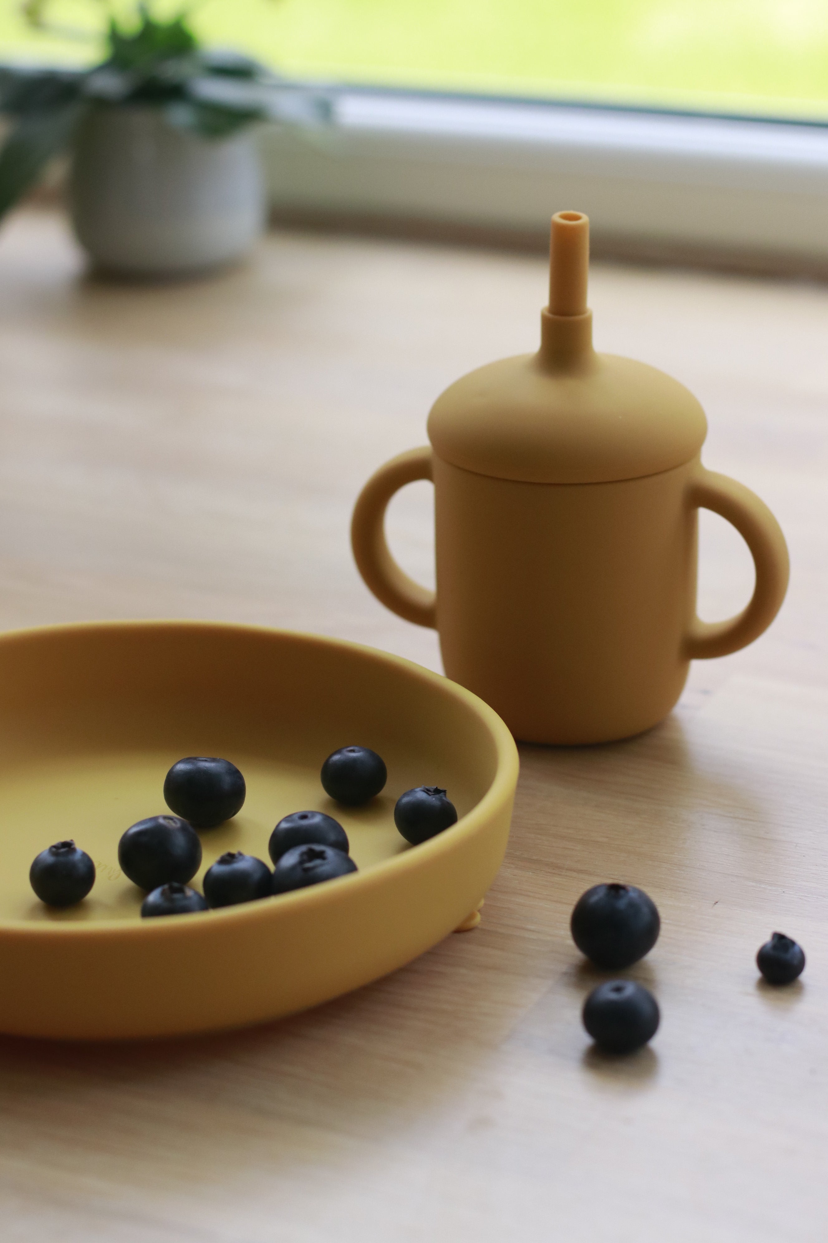 Plates | Round Suction Plate | Orchid | La Romi