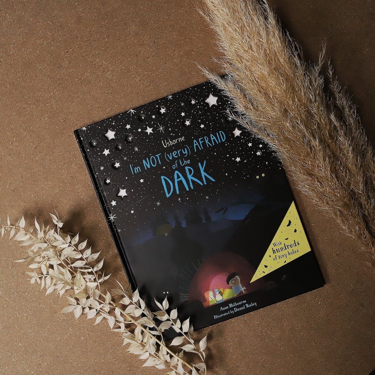English Books | IM NOT (VERY) AFRAID OF THE DARK | La Romi