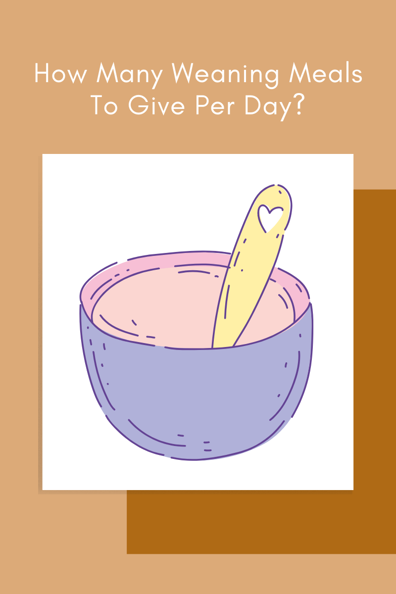 How Many Weaning Meals To Give Per Day?